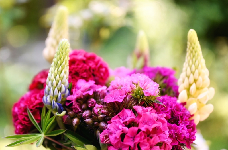 fleuriste-GASSIN-min_flowers-5369794